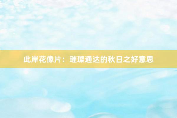 此岸花像片：璀璨通达的秋日之好意思